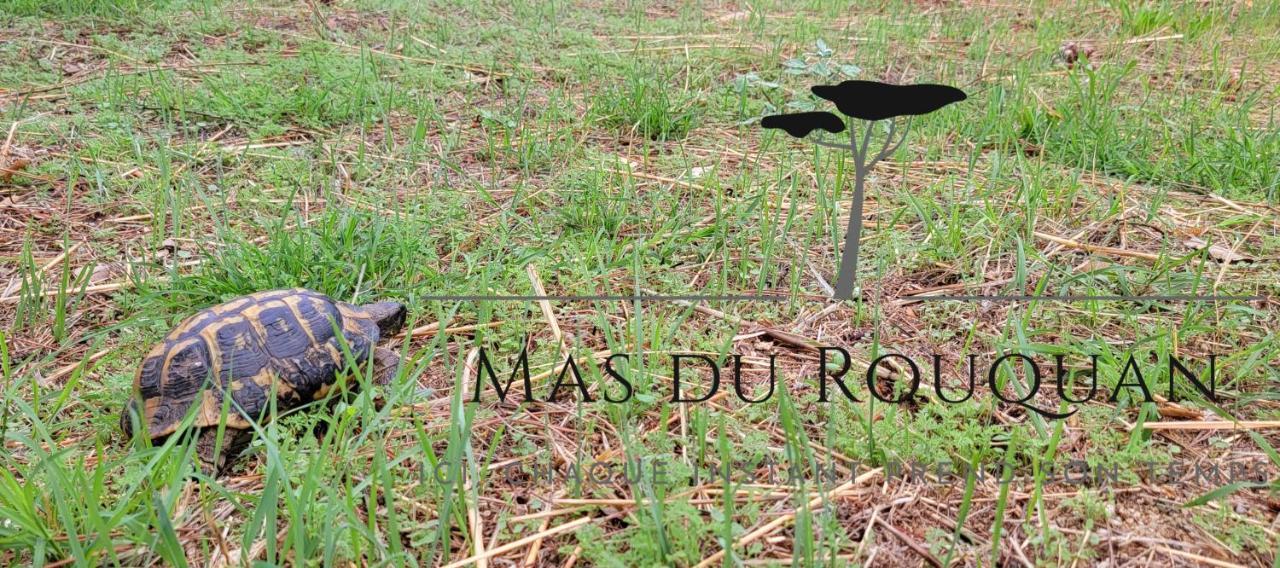 Le Mas Du Rouquan Vidauban Bagian luar foto